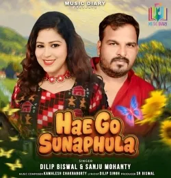 Hae Go Sunaphula