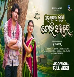 Heigala Prema Tori Sathire