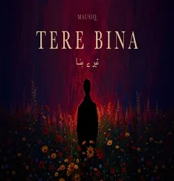 Tere Bina