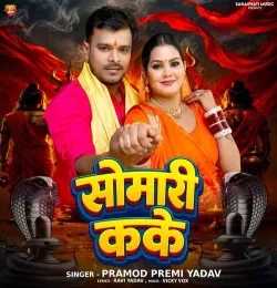 Somari Kake