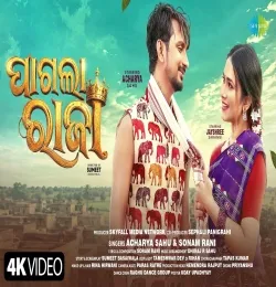 Pagla Raja