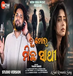 Tu Mora Michha Sathi