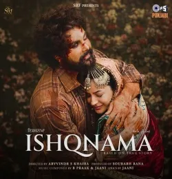 Ki Keya (From Ishqnama)