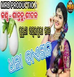 Desi Baigana