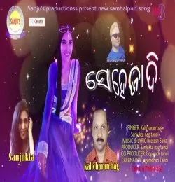 Sehejadi 