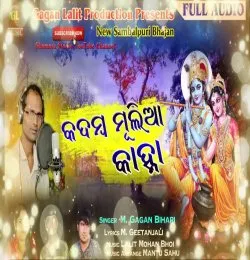 Kadamba Mulia Kanha 