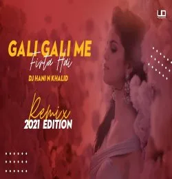Gali gali mein firta hai dj remix