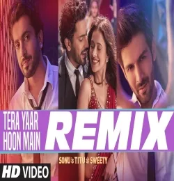 Tera Yaar Hoon Mein | LoFi Remix