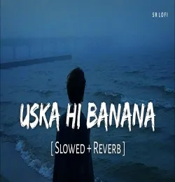 Uska hi banana   (Slowed Reverb)