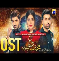 Mohabbat Dagh Ki Soorat