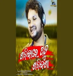 Sanibare Padu Sanidasha