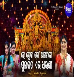 11516_4