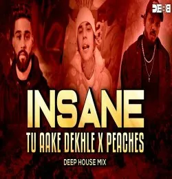 Insane X Tu Aake Dekhle X Peaches (Mashup)