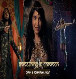 Anushqa   Something In Common Mashup