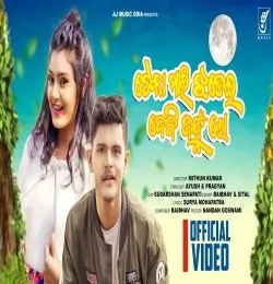 Teka Mari Jhadeidebi Janha Loo