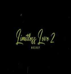 Limitless Love Mashup 2  Jogi X Aankhon Mein Teri X Tera Hone Laga Hoon X Pee Loon