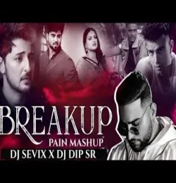 Breakup Pain Mashup 2021
