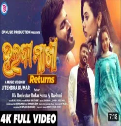 Haldi Makhi Return
