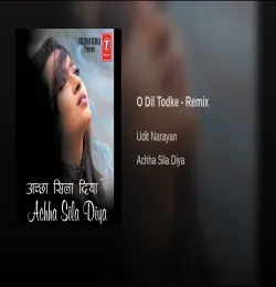 O Dil Tod Ke Hansti Ho Mera Remix