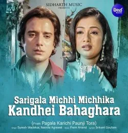 Sarigala Michhi Michhika Kandhei Bahaghara