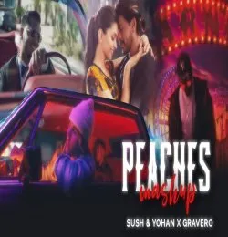 Peaches x Tu Aake Dekhle Mashup