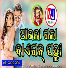 Aaela Gala Baigan Palah