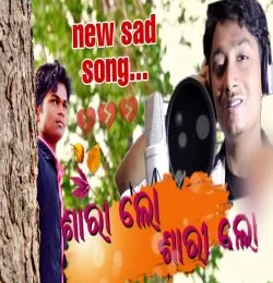 Sari lo sari lo
