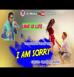 I Am Sorry Sorry Maaf Karide Bhul Hae Gala