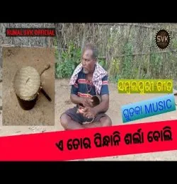 A tor pindhani sarla boli ga sajani