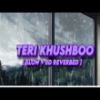 Teri Khushboo [ Slow + Reverb ]   Arijit Singh
