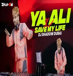 Ya Ali X Save My Life Mashup