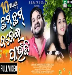 Pagala Karichhi Paunji Tara
