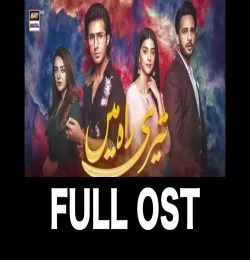 Teri Raah Mein (Full OST) Song