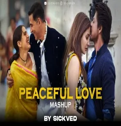 Peaceful Love Mashup 2022