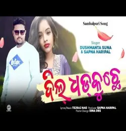 Dil Dhadkuchhe