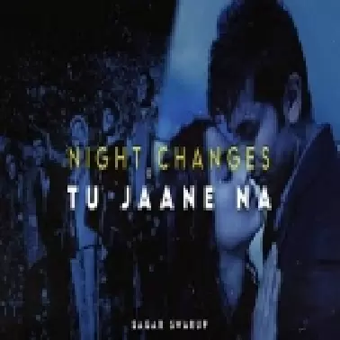 Night Changes x Tu Jaane Na Mashup