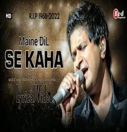 Maine Dil Se Kaha Dhund Laana Khushi