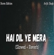Hai Dil Ye Mera (Slowed + Reverb) Lofi Mix