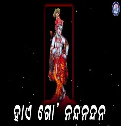 17331_4