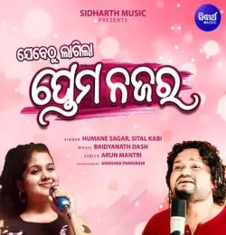 Jebethu Lagila Prema Najara
