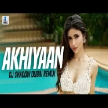 Akhiyaan Mila Le (Remix)