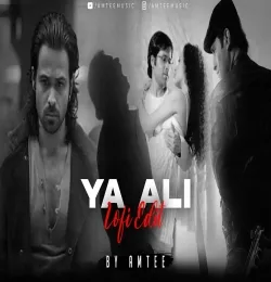 Ya Ali Lofi Remix