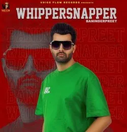 WHIPPERSNAPPER