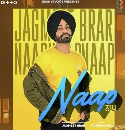 NAAP