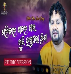 Mu Maribara Khabar Pai Khushi Habula Priya