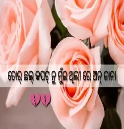Bedardi Deewana