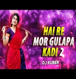 Hai re mor gulapa kadhi 2