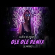 Ole Ole Retro Dj Remix