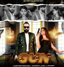 Gun