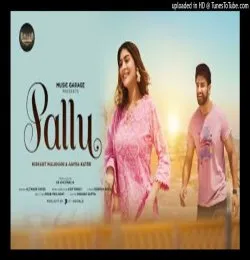 Pallu